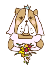 Dr.Bull, Dog sticker #245906