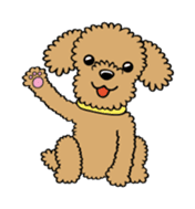 Toy poodle sticker #246218