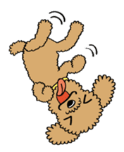 Toy poodle sticker #246220