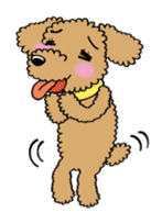 Toy poodle sticker #246228