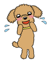 Toy poodle sticker #246231