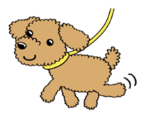 Toy poodle sticker #246236