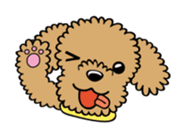 Toy poodle sticker #246238