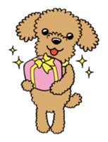 Toy poodle sticker #246245