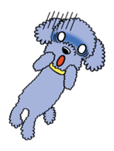 Toy poodle sticker #246250