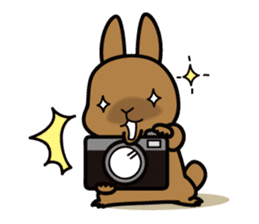 Rabbit's daily Stamp sticker #249013