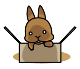 Rabbit's daily Stamp sticker #249014