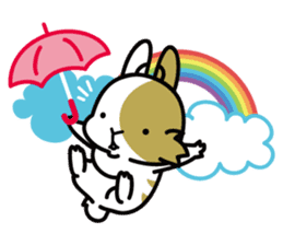 Rabbit's daily Stamp sticker #249030