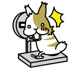 Rabbit's daily Stamp sticker #249032