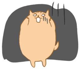 Day-to-day of MARU USAGI. sticker #249810