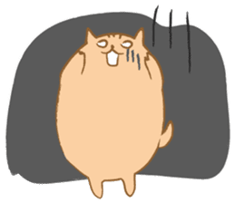 Day-to-day of MARU USAGI. sticker #249810