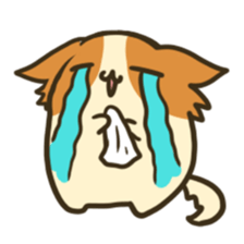 YurumaruChihuahuanPotemaru sticker #250286