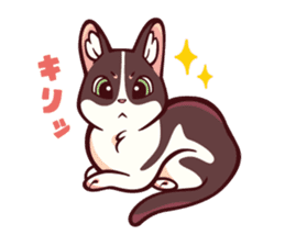 sirasu & kujira STAMP SET sticker #251017