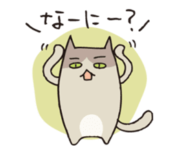 Various kinds of cats sticker #251424
