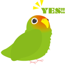 Drops Bird sticker #252233