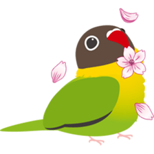 Drops Bird sticker #252249