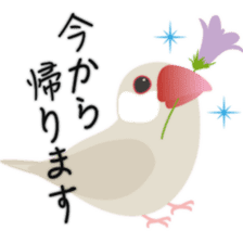 Drops Bird sticker #252251