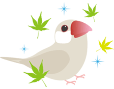 Drops Bird sticker #252270