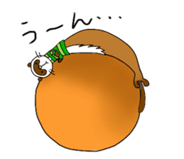 Brilliant days of cute three ferrets sticker #256179