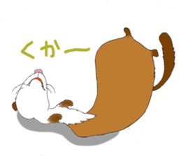 Brilliant days of cute three ferrets sticker #256187