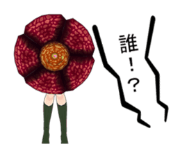 Japanese stickers "JK-Rafflesia" sticker #256443