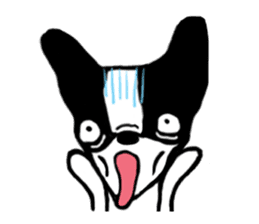frenchbulldog P-chan sticker #258842