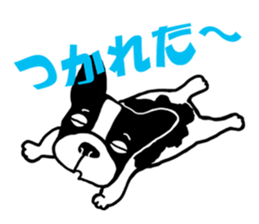 frenchbulldog P-chan sticker #258843