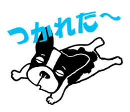 frenchbulldog P-chan sticker #258843