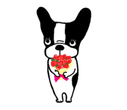 frenchbulldog P-chan sticker #258855