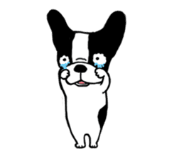 frenchbulldog P-chan sticker #258858