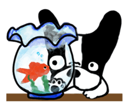 frenchbulldog P-chan sticker #258859