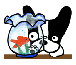 frenchbulldog P-chan sticker #258859