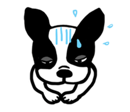 frenchbulldog P-chan sticker #258861
