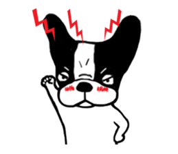 frenchbulldog P-chan sticker #258862