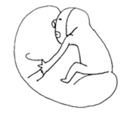 hana_ball sticker #260568