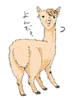 Alpaca boys sticker #261880