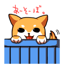 Dog weather. sticker #265147