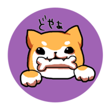 Dog weather. sticker #265148