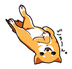 Dog weather. sticker #265151