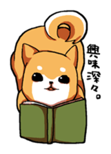 Dog weather. sticker #265163