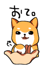 Dog weather. sticker #265164