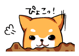 Dog weather. sticker #265173