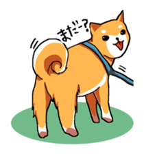 Dog weather. sticker #265177