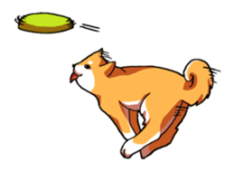 Dog weather. sticker #265178