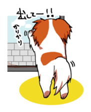 Dog weather. sticker #265180