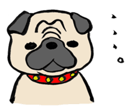 I.K FRIENDS (french bulldog & pekingese) sticker #266389