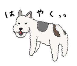 Wire haired fox terrier Mint sticker #267188