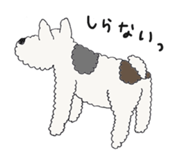 Wire haired fox terrier Mint sticker #267202