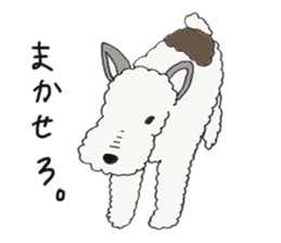 Wire haired fox terrier Mint sticker #267209