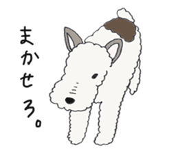 Wire haired fox terrier Mint sticker #267209